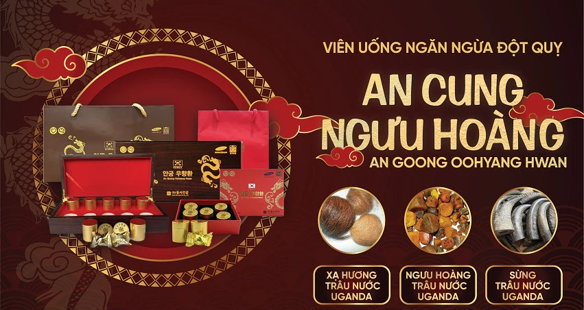 Thuốc Chống Đột Quỵ An Cung