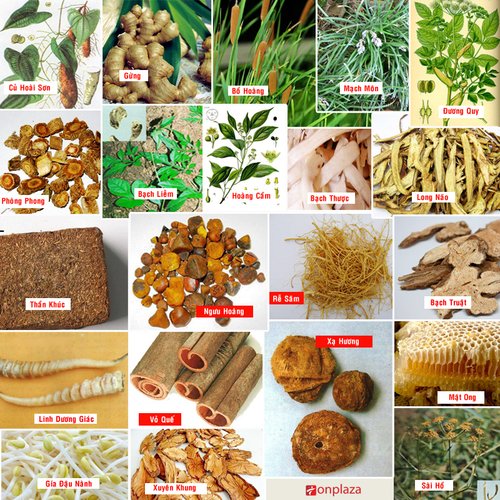An cung ngưu hoàng hoàn Hàn Quốc hộp gỗ màu đen - Đánh giá và hướng dẫn mua hàng